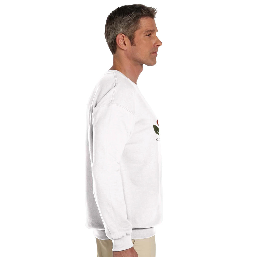 fad5e133-3d10-4a13-9152-18f1abe15379